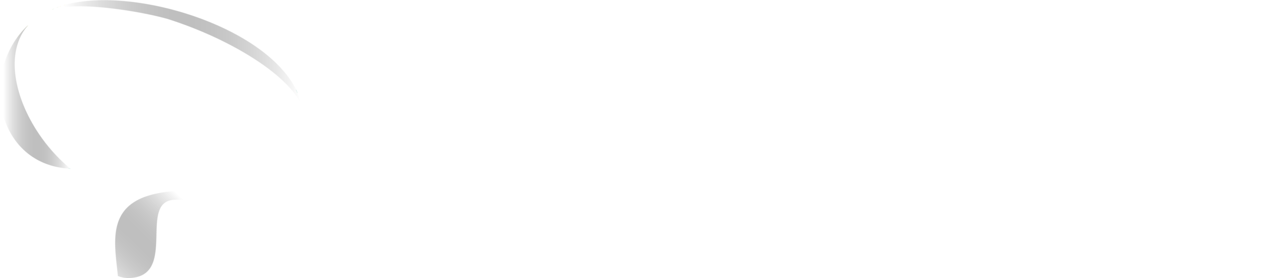 promptsportnews.com
